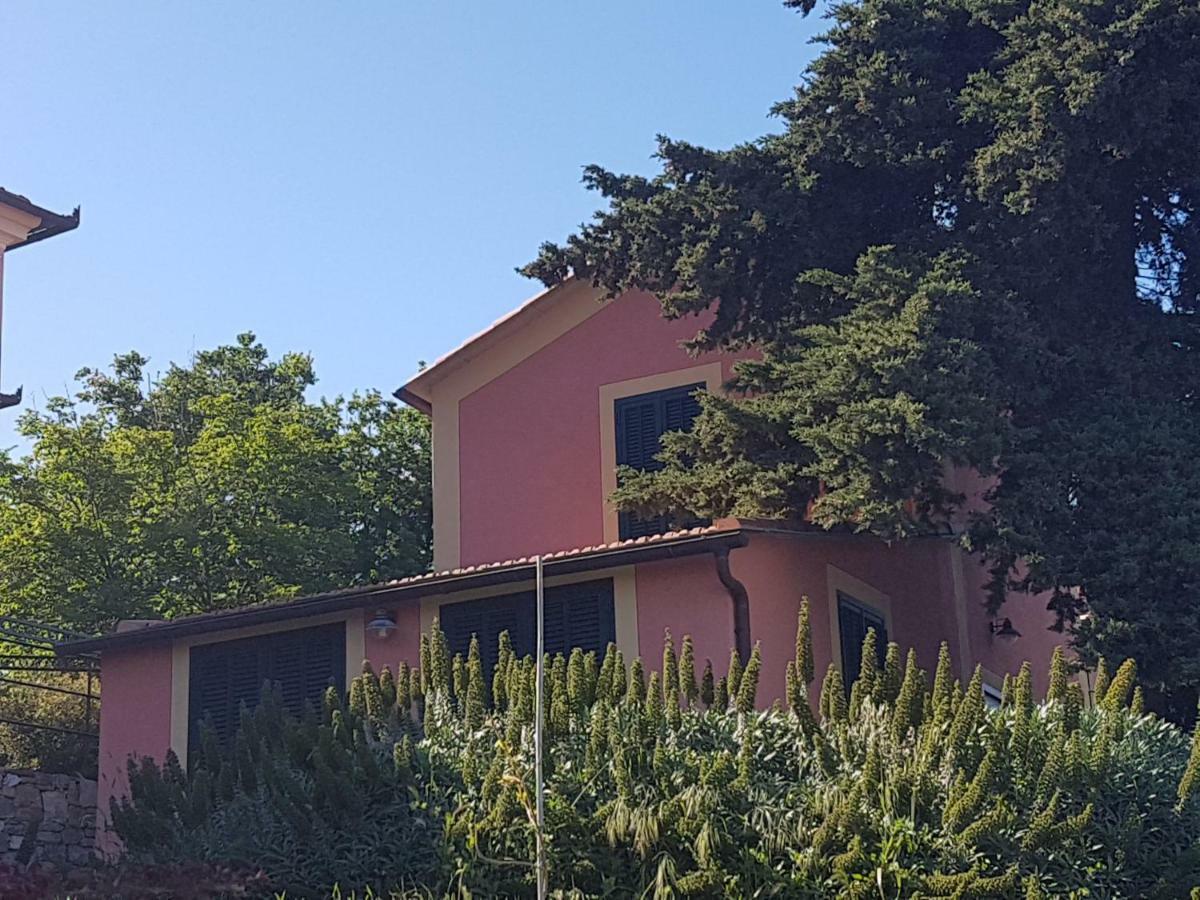 Villa Caterina Imperia Exteriör bild